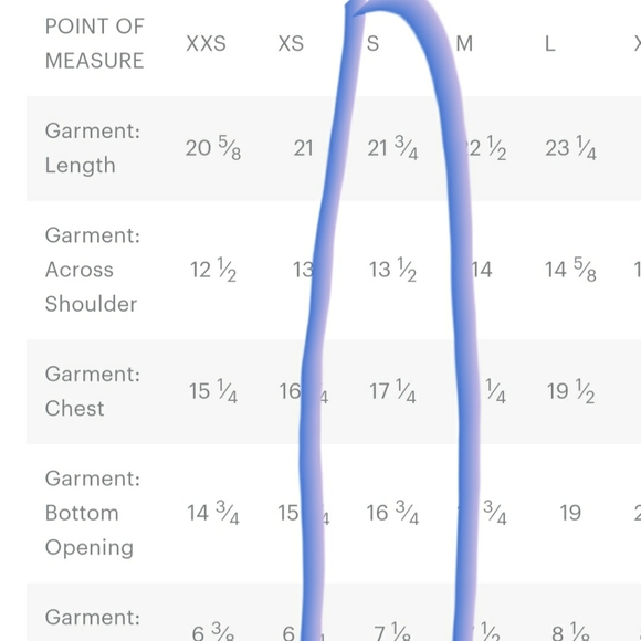 NWT Everlane Lightweight French Terry Puff Tee - Picture 8 of 8